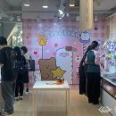 베어스토어 충청일보