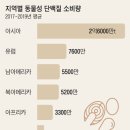 세포버거 이미지