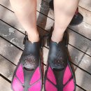 (주)다울푸른도장 | 몰디브 바다 외국인 폭행사건