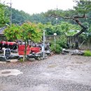 여명농장 이미지