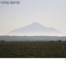 대한화원 - 부천시 원미구 길주로594번길 14 | 대한화원