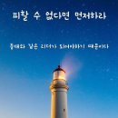 애터미 알아가기 9 - (피할 수 없다면 즐겨라) 이미지