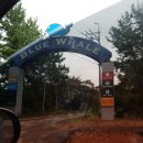 블루웨일 빌리지 이미지