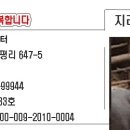 지리산흙돼지 이미지