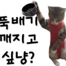 한동길참치