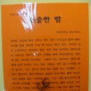 마재초등학교 이미지