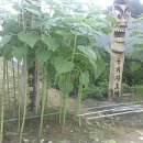 선농발효(주) 이미지