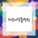 큰사랑동물병원 이미지