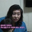 참참참