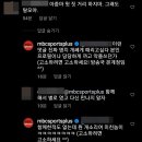 김나라스포츠 마이데일리