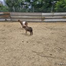 광개토농장 이미지