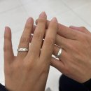 시립도서관 동측 | 의정부 벚꽃 명소 총정리 숨은 스팟부터 2025 뜨는 곳까지 반지공방 아뜰리에호수 ver