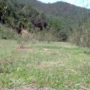 대지목장 이미지