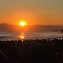 동해시-41 이미지