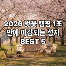 블루오션PC방 | 2026 벚꽃 캠핑장 명소 BEST 5 지금 예약 안 하면 자리 없음
