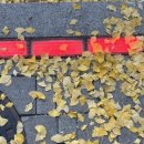 스타뽑스 이미지