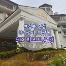 청화 노래방 | 문경 숙소 STX 리조트 스위트룸 후기｜부대시설·BBQ·예약 정보 한눈에
