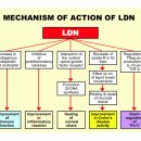 저용량 날트렉손 요법 LDN(Low Dose Naltrexone) 이미지