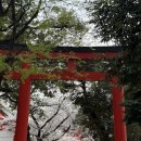 로렐스프링스인서울 | 귀여움 지수가 떨어지잖아
