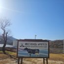 배론이시돌목장