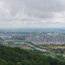 홍성고기마을 - 당진시 버그내2길 128-25 | 홍성고기마을