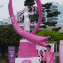 핑크마라톤대회...요트경기장내 이미지
