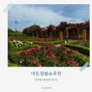 GS25대전한밭점 | 대전 한밭수목원 장미 꽃놀이 명소&amp;봄꽃전시회 후기