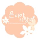 개뼈다구 이미지