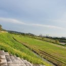 희망의 꽃밭에서 이미지