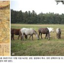 1398목장 이미지