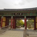 여주-0417 이미지