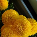 풍국농장 이미지