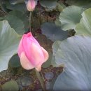 서동공원 이미지