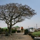 제주 올레길 4코스 이미지