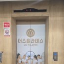 골든어스 | 동서대 필라테스 필린이가 시작하는 어스필라테스 솔직후기
