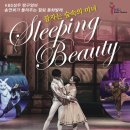 동화발레 잠자는 숲속의 미녀(서울시티발레단) 이미지
