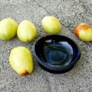 제이엔케이 | [제이엔케이아트]아크릴 그릇 006