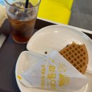 종로-신영-종로-영-169 | 주말이 짧다 데이식스 없이 못 산다