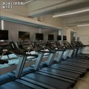 레디 바디 이미지