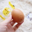 아침주식회사 이미지