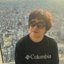 저렴하게 생강 팔아요~~ 이미지