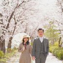 스튜디오볕 네이버블로그