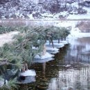 소가주천 이미지