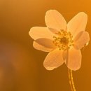 260408 묵상글 ( 부활 팔일 축제 수요일. - 없으면 줄 수 없고 가진 것을 주기에. 등 ) 이미지