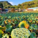 목도마을회관 이미지