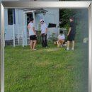 강아지 보호센터 이미지