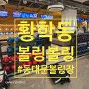 롯데캐슬당구장 | 신당역에서 이렇게 넓은 볼링장이? 프라이빗 공간대여 가능한 황학동볼링장<볼링볼링>