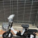전동차제천총판대리점 | 모토벨로 G7 전기자전거 350W 10Ah 화물 택배 납품 !!