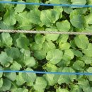 서우농장 이미지