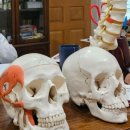 유명한의원 | 안면비대칭교정으로 유명한 강남 논현역 한의원 방문 후기